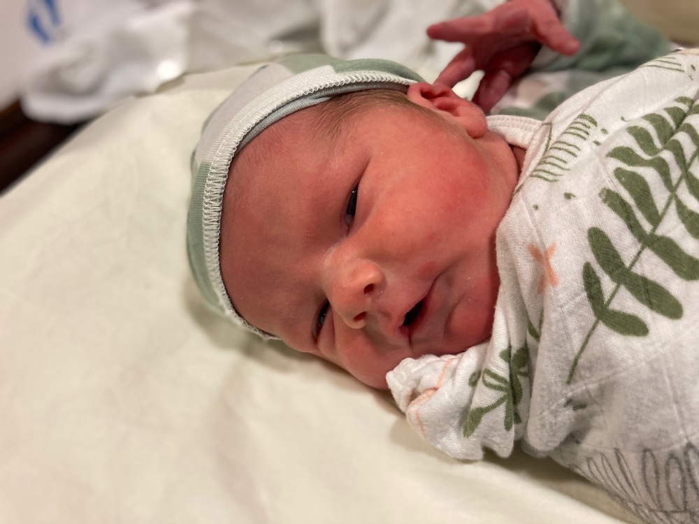 Baby Hostler